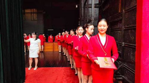 洛陽職業(yè)技術(shù)學(xué)院禮儀隊圓滿完成洛陽市七一表彰大會頒獎禮儀服務(wù)與軟件開發(fā)