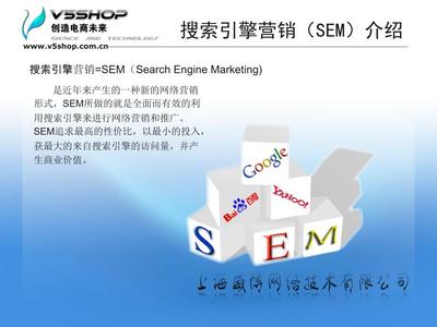 廣告策劃 搜索引擎營(yíng)銷（SEM）推廣方案